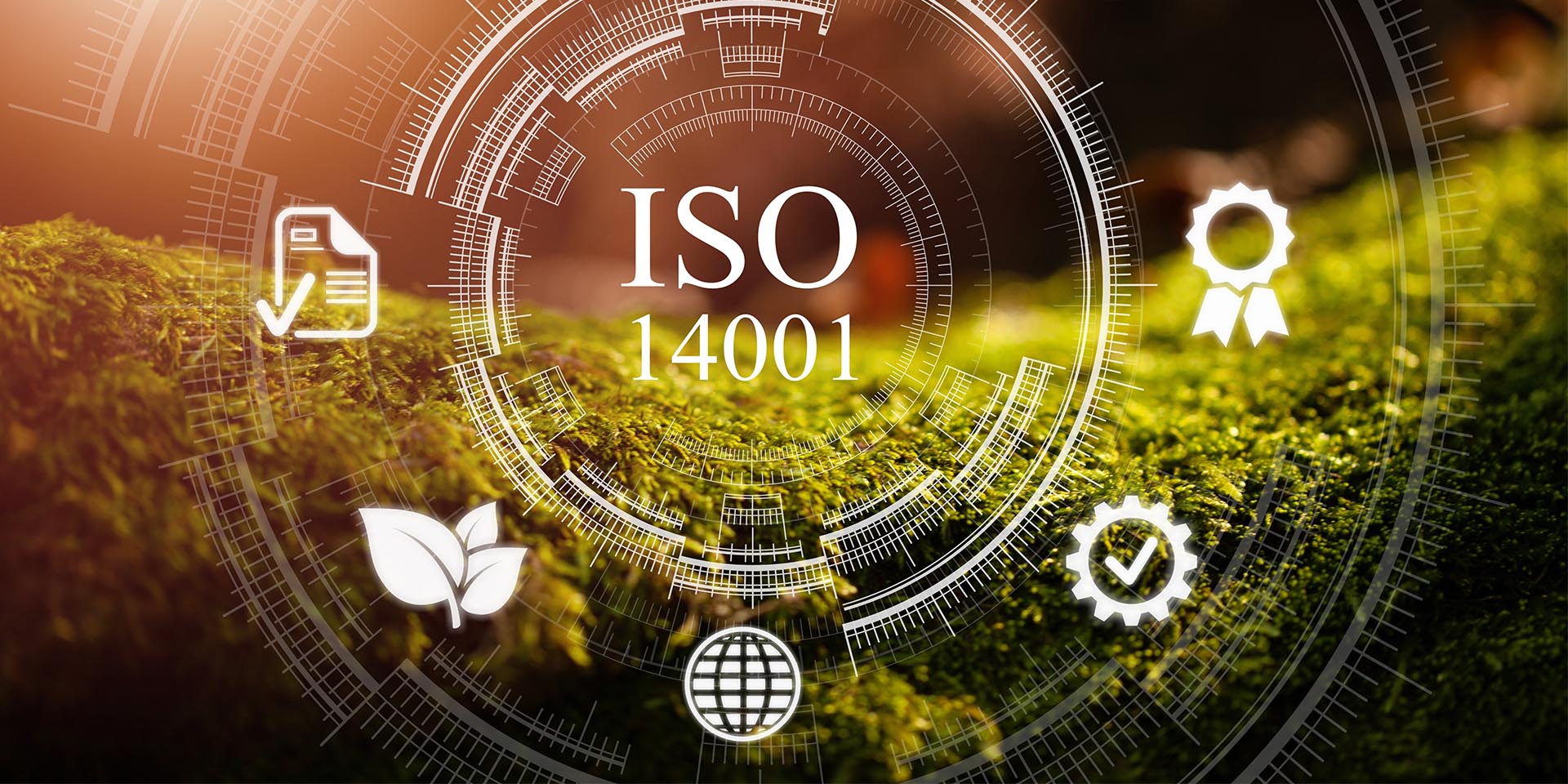 Warum eine Zertifizierung nach ISO 14001 von Vorteil ist